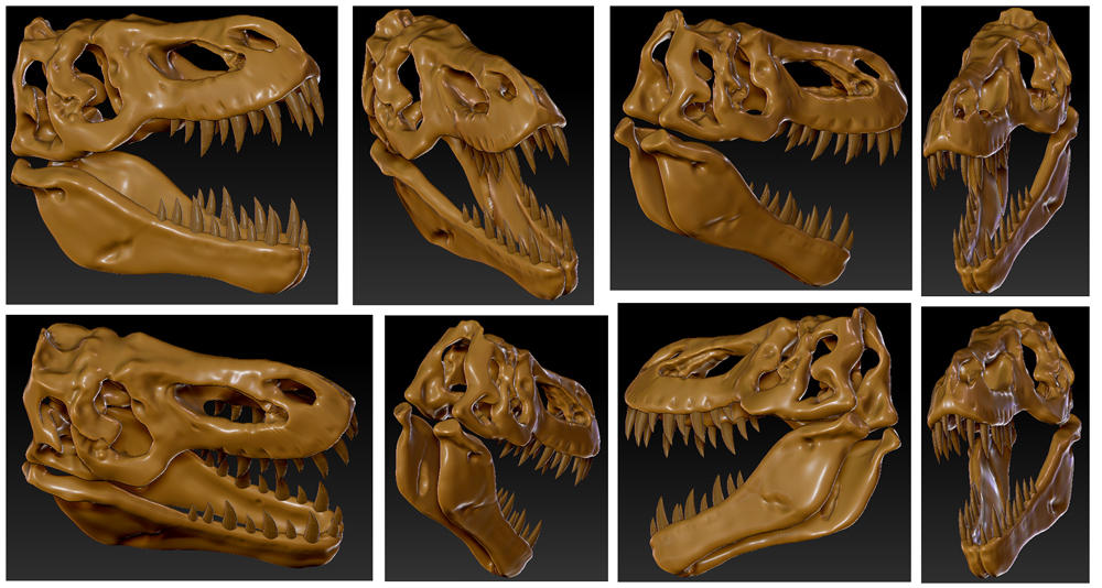 Tyrannosaurus rex complete sml.jpg