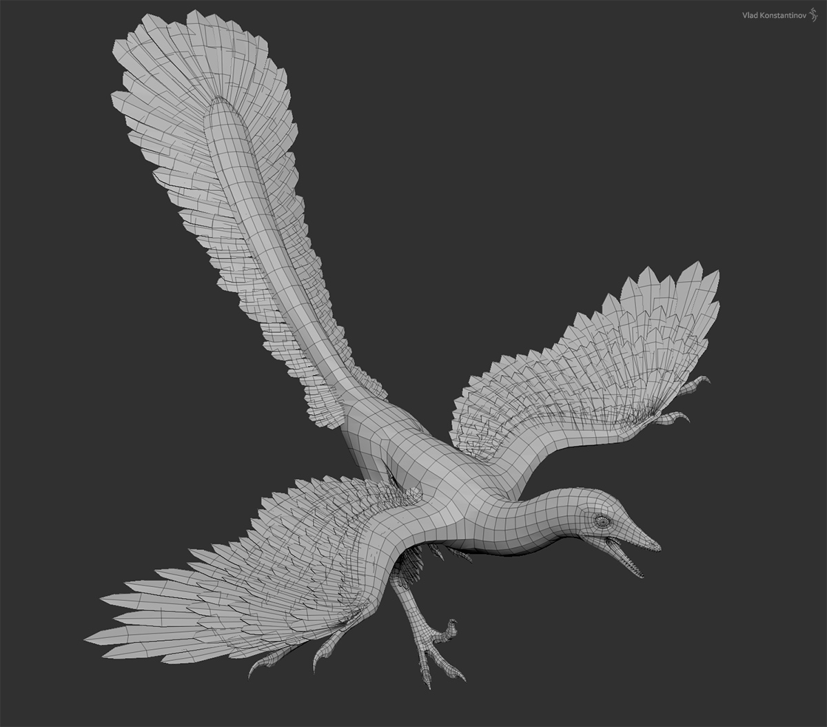 Archaeopteryx_02(Wire)_1200.jpg