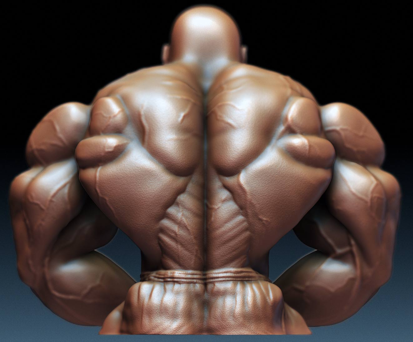 maxxmuscle-13.jpg