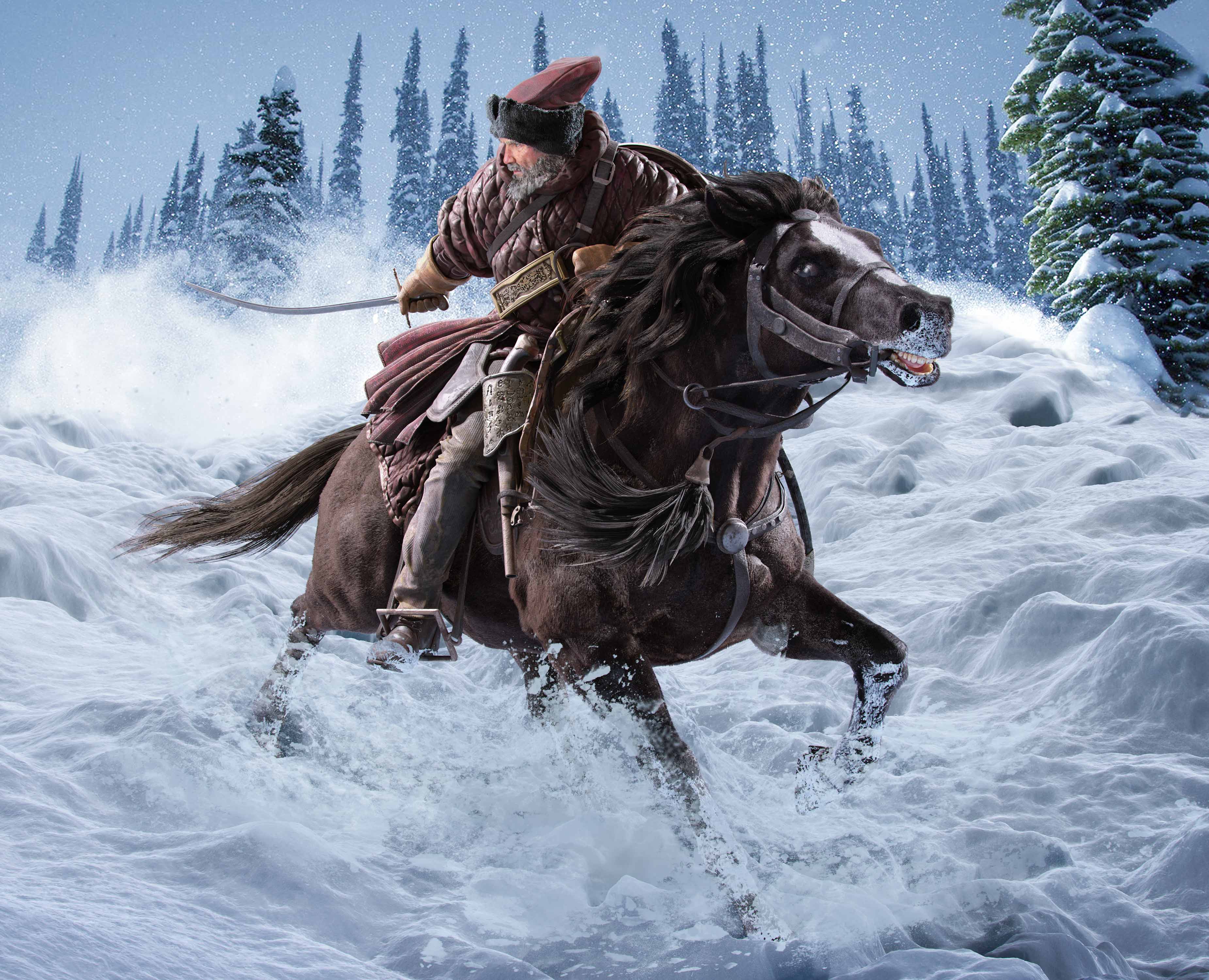 Horse-gallop.jpg