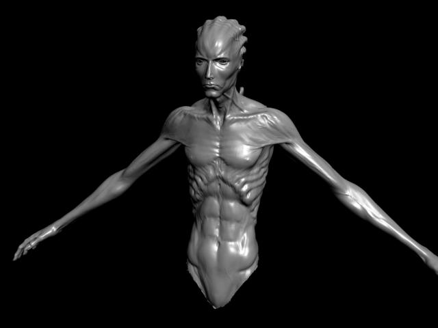 max_more_strength_front.jpg