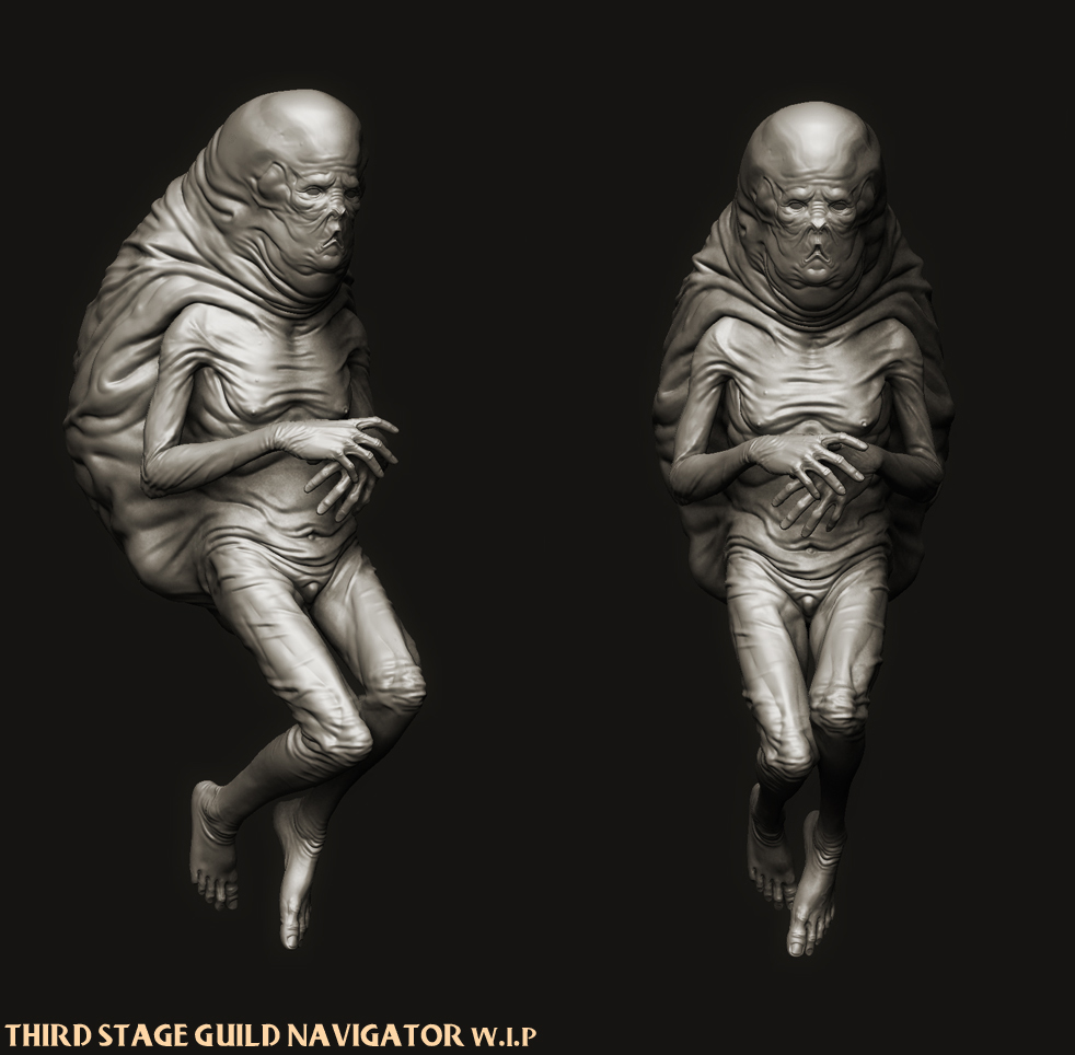 THIRD STAGE GUILD NAVIGATOR wip.jpg