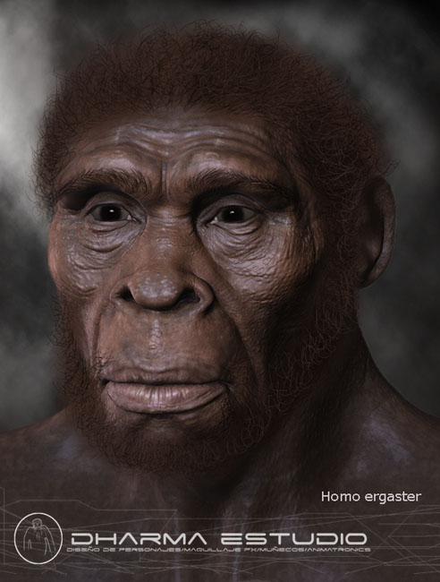 homo-ergaster-low.jpg