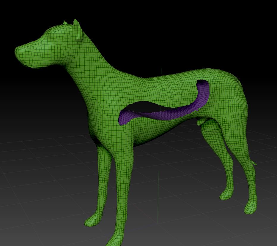 Dog-mesh.jpg