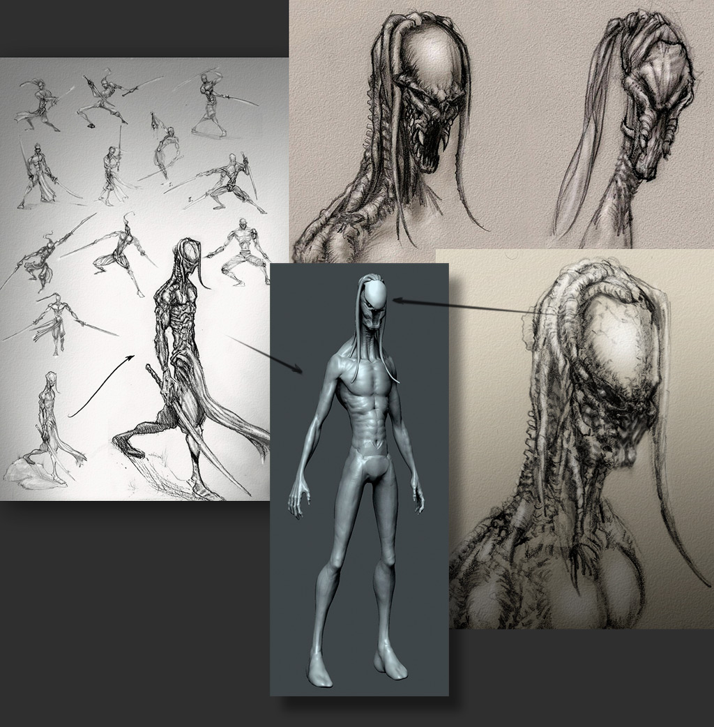 preliminary.jpg