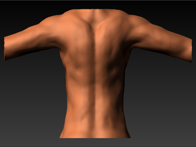 CLOSEBACK.jpg