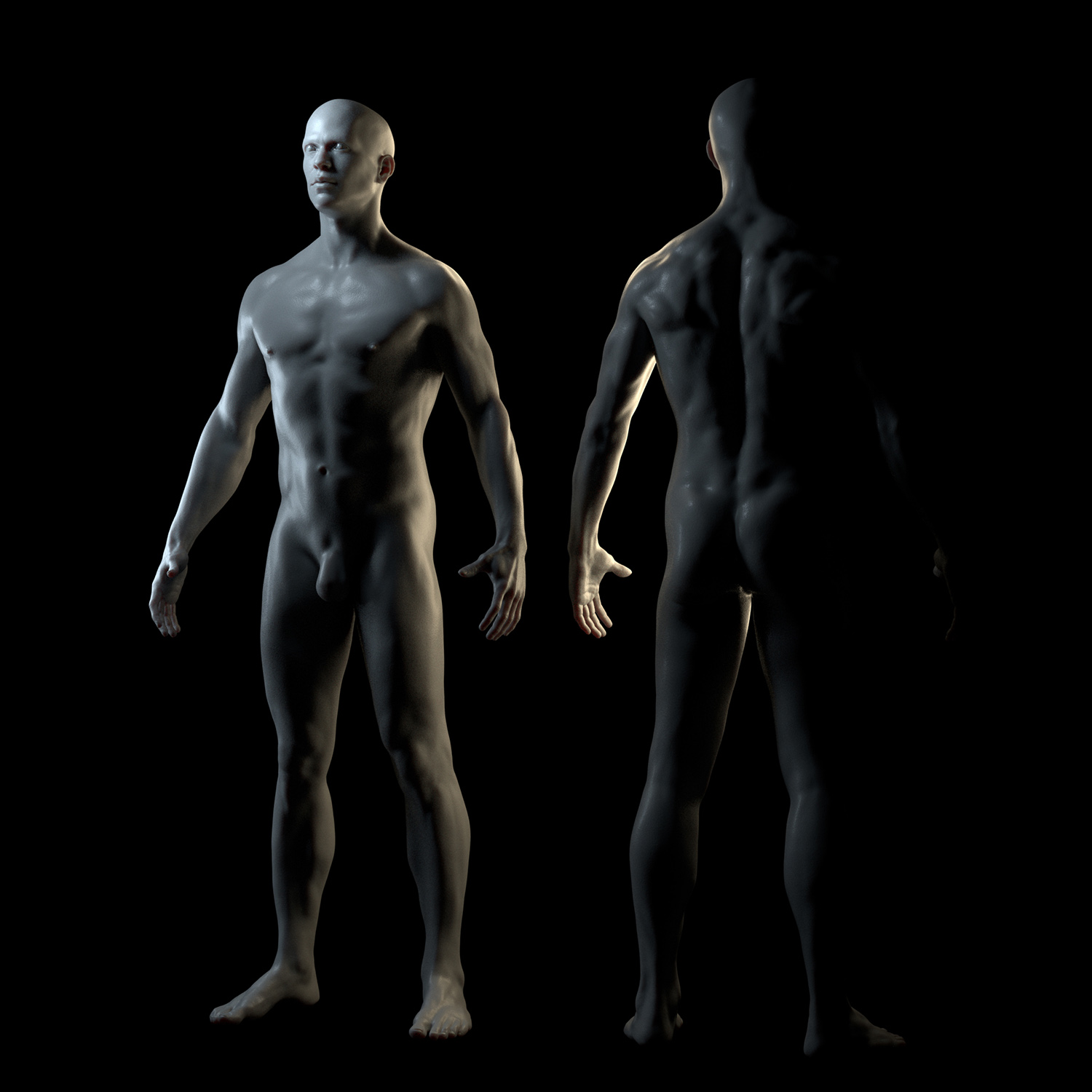 male3.jpg