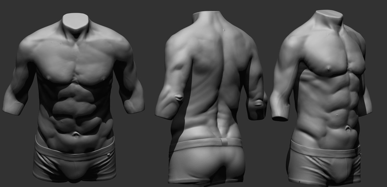 3d_eaton_torso.jpg