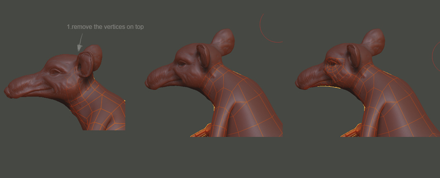 retopo_remove_top.jpg