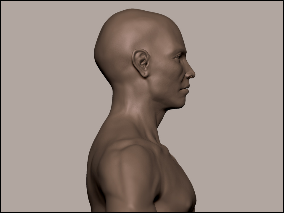 sculpt4.jpg
