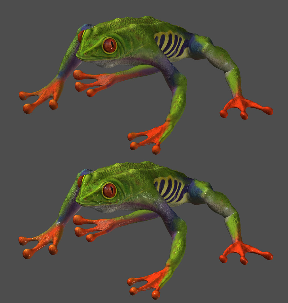 frog_m.jpg