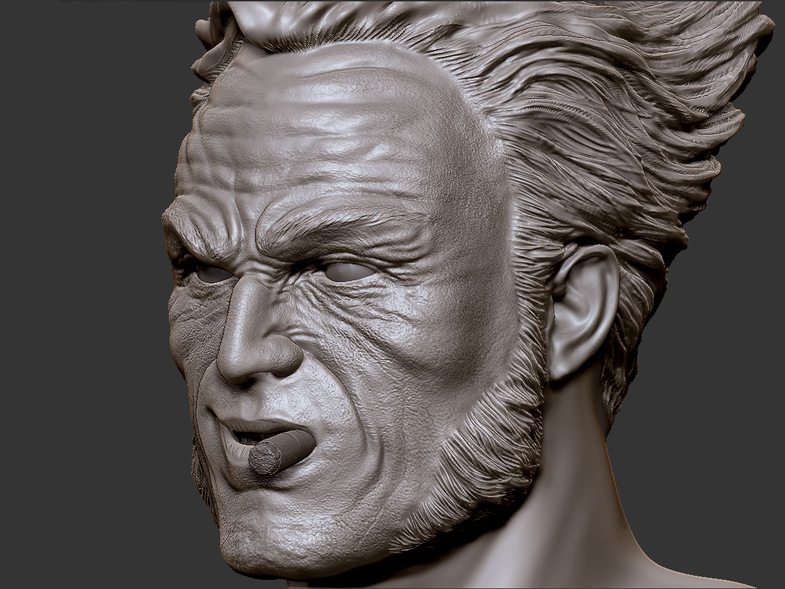 11_logan_head_6_2.jpg