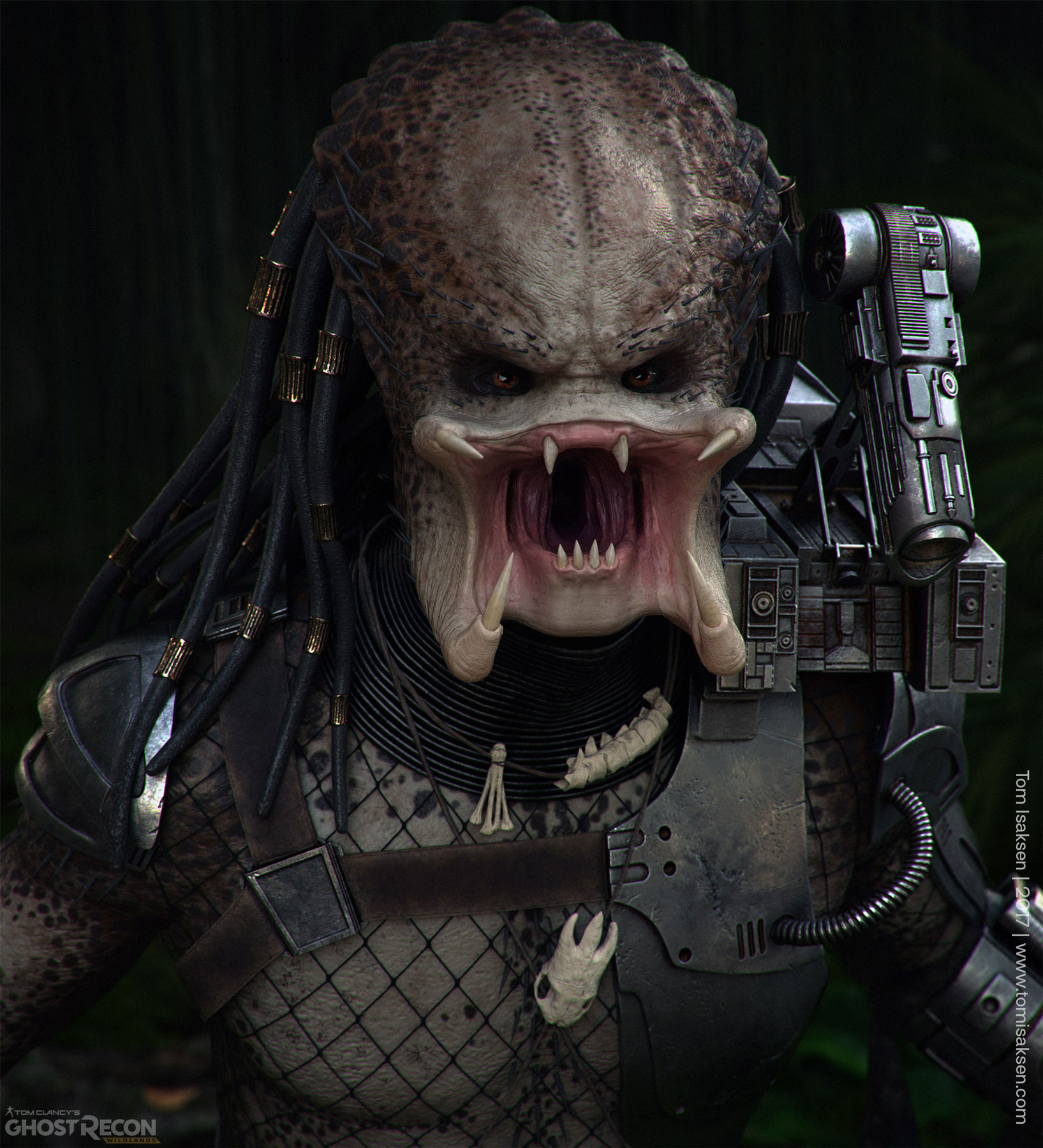 CloseUP_01.jpg