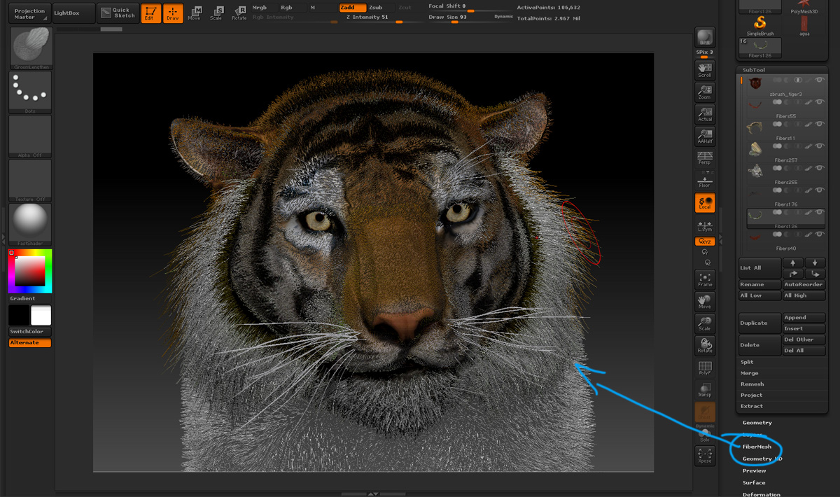 Tiger_ZB1.jpg