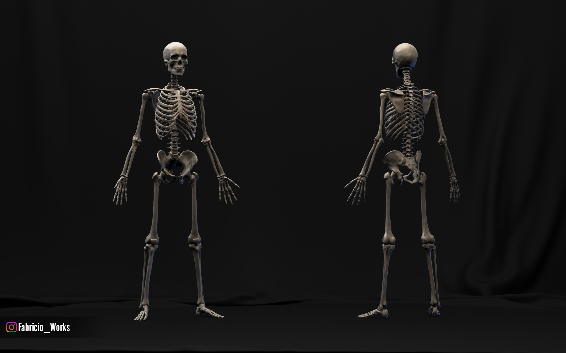 zbrush skeleton