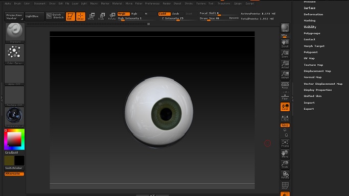 eye1.jpg