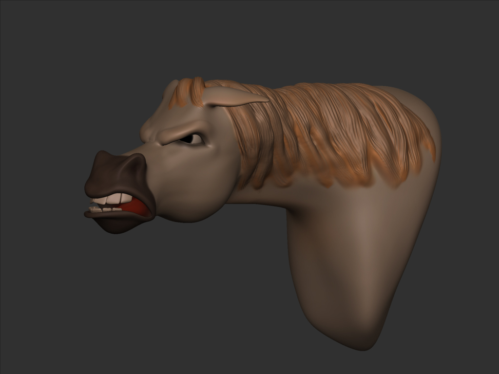 maximus2.jpg