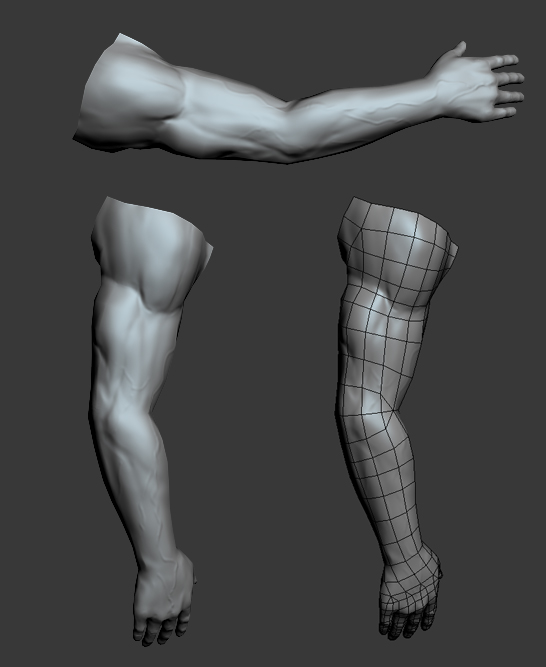 arms.jpg