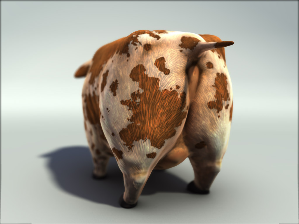cow_004b.jpg