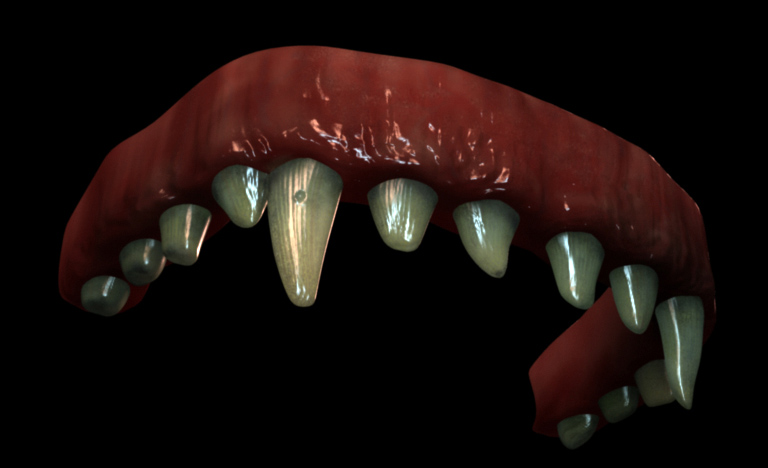 teeth2.jpg