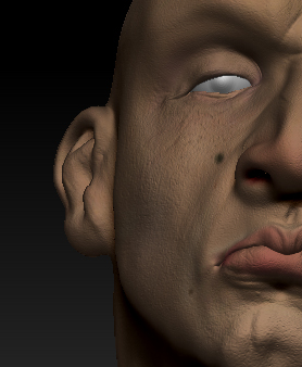 bob2.jpg