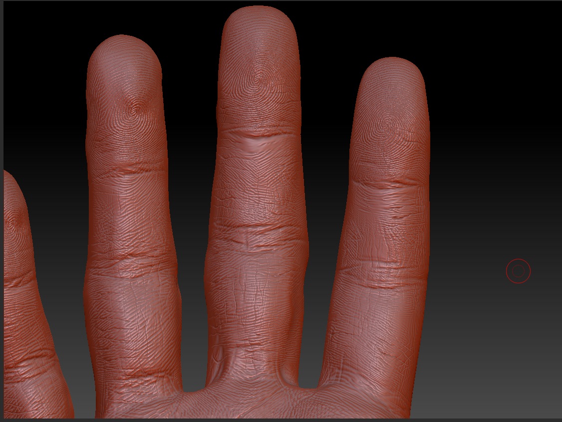hand_zb_close.jpg