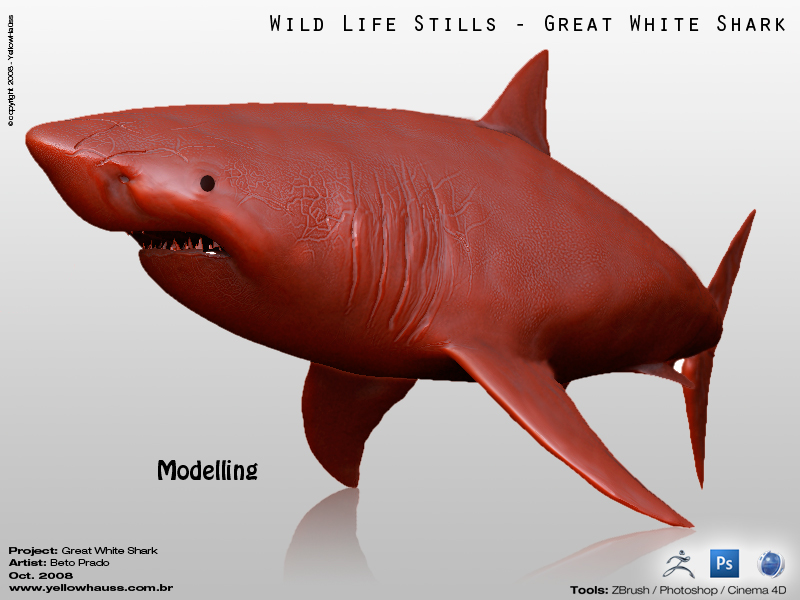 modeling_.jpg