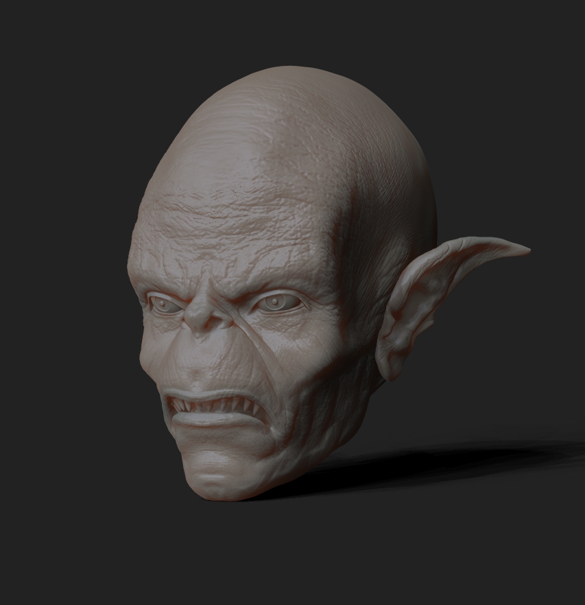 CertHead_ZBR7_WIP_02web.jpg