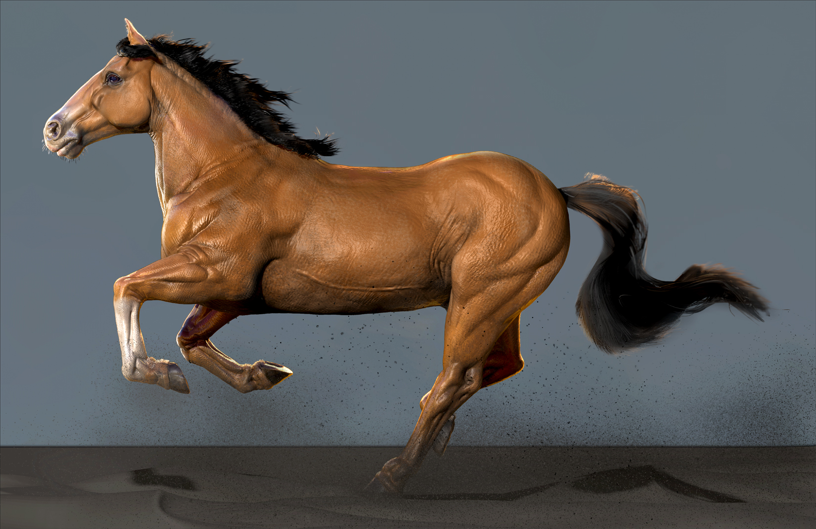 cavalo1.jpg