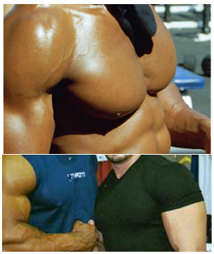 Pecks.jpg