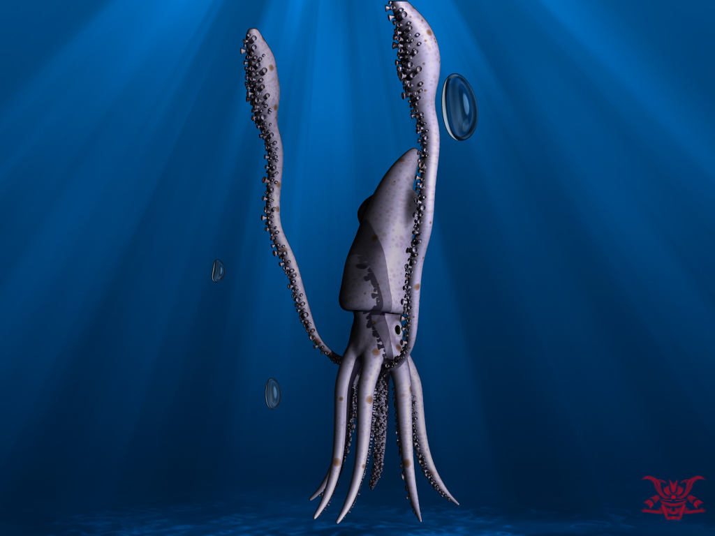 Squid Final 02.jpg