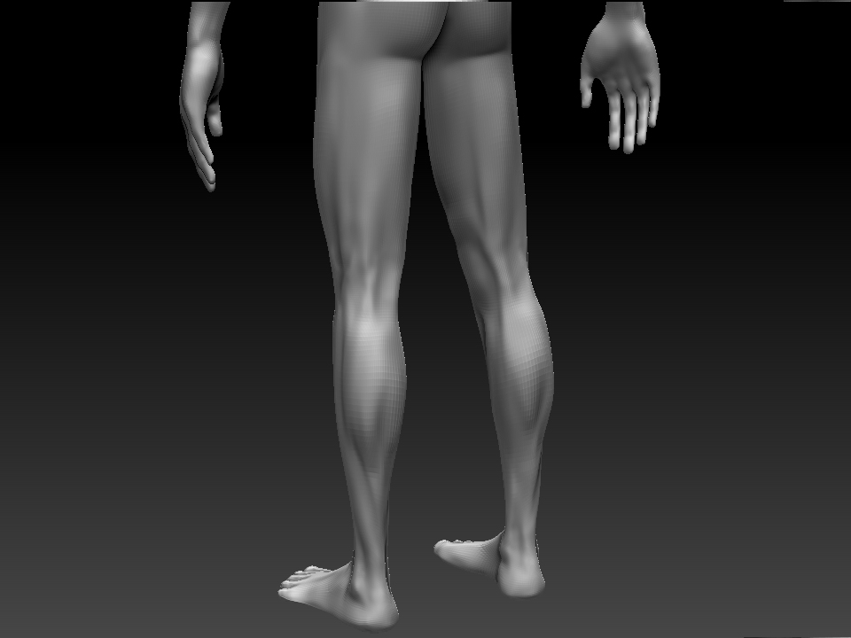 MS2_detail2.jpg