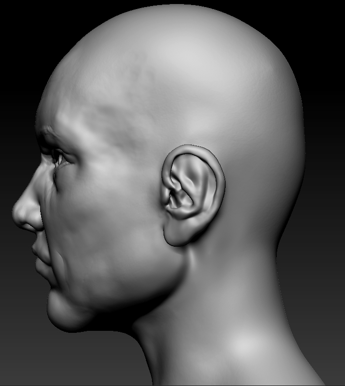 head2.jpg