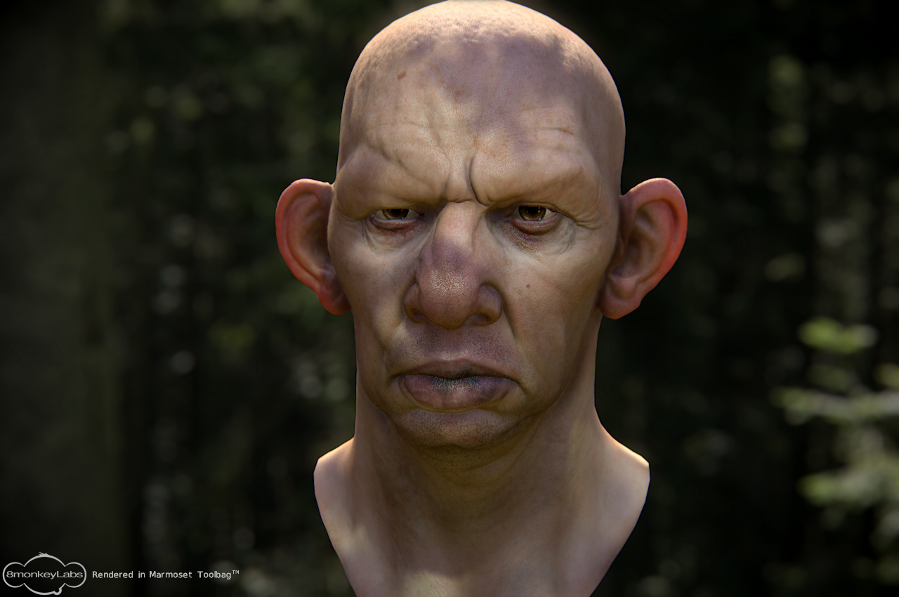 hillbilly_realtime.jpg