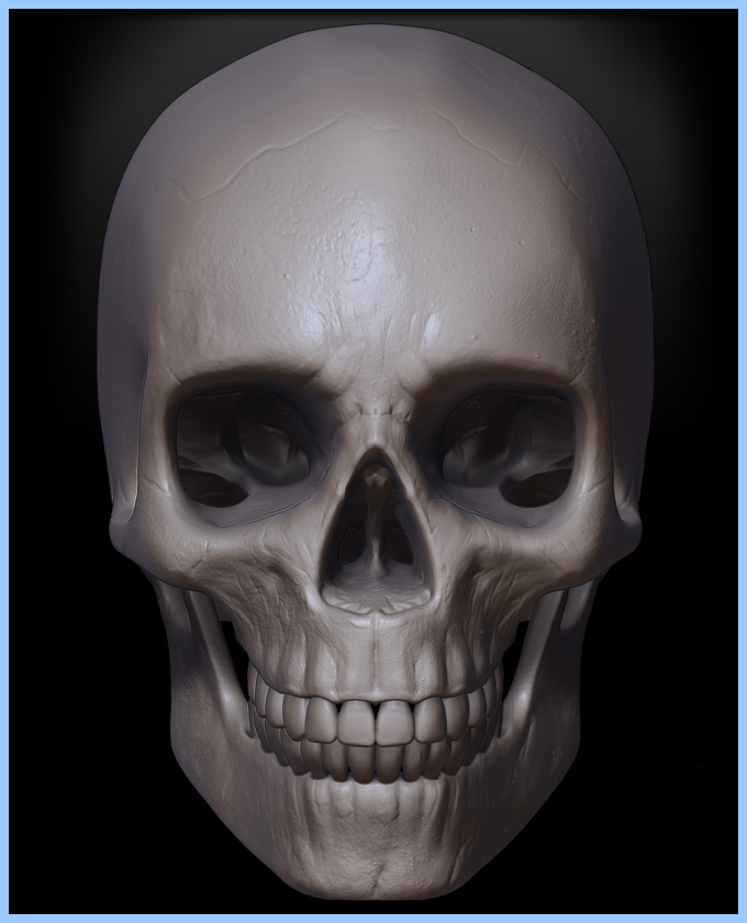 SPI_SKULL_003.jpg
