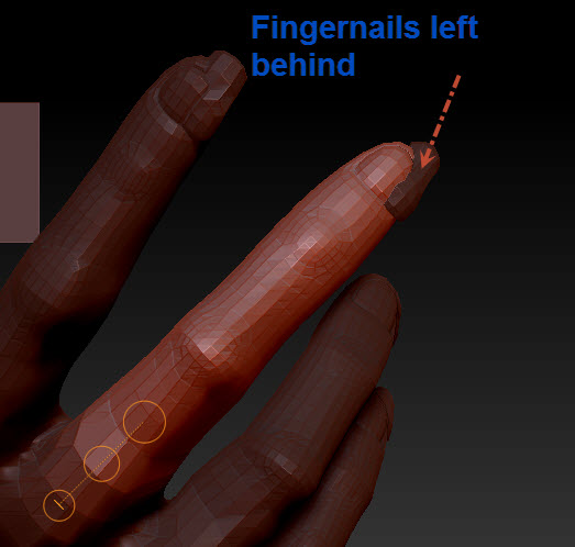 fingernails.jpg