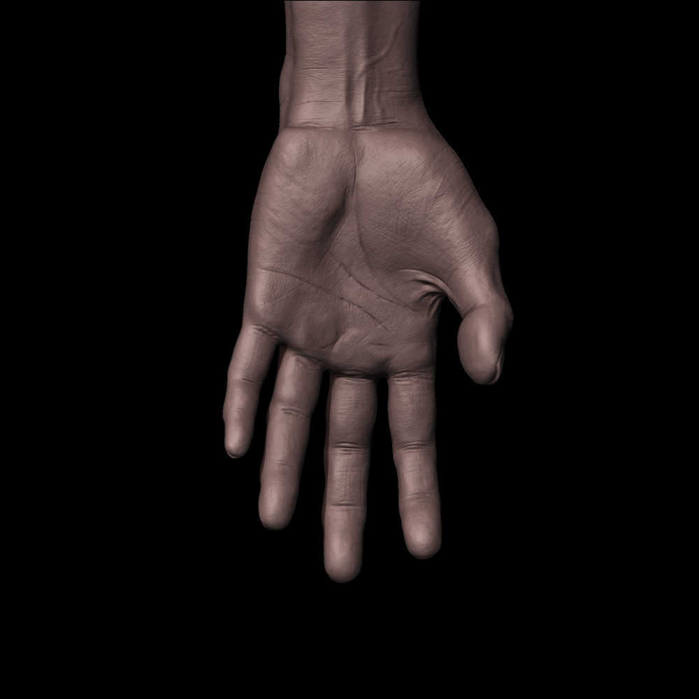 Hand_4.jpg