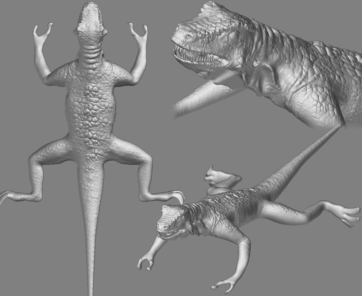 lizard7.jpg