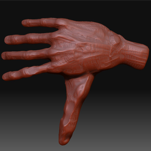 hand_001.jpg
