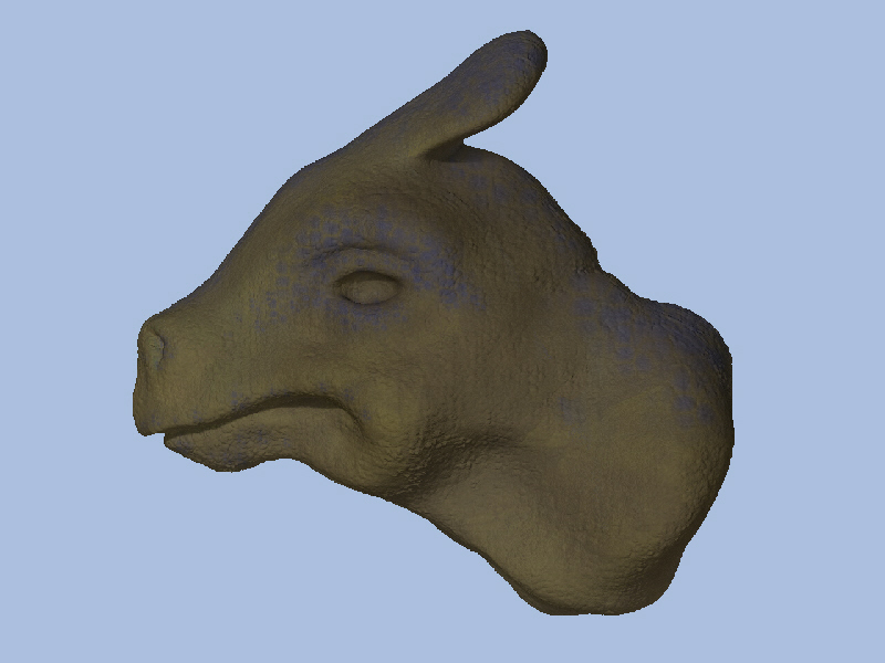 TESTA DRAGO02.jpg