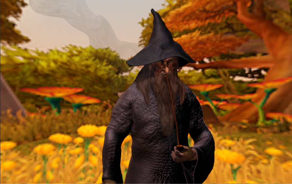 Gandolf the Gray 12.jpg