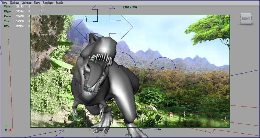 image plane.jpg