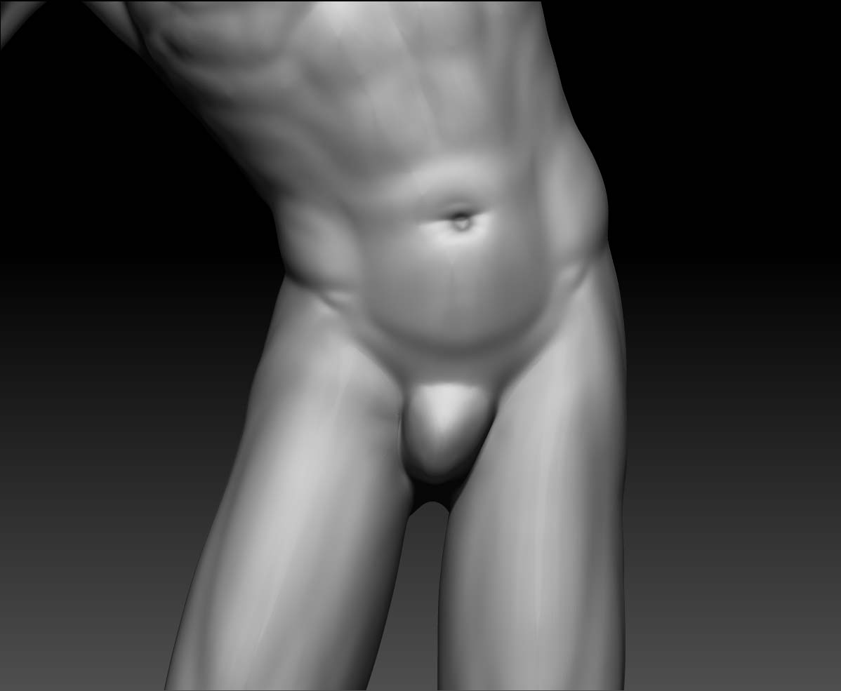 pelvis_def.jpg