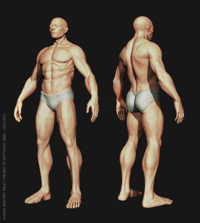 Texture-_render02.jpg