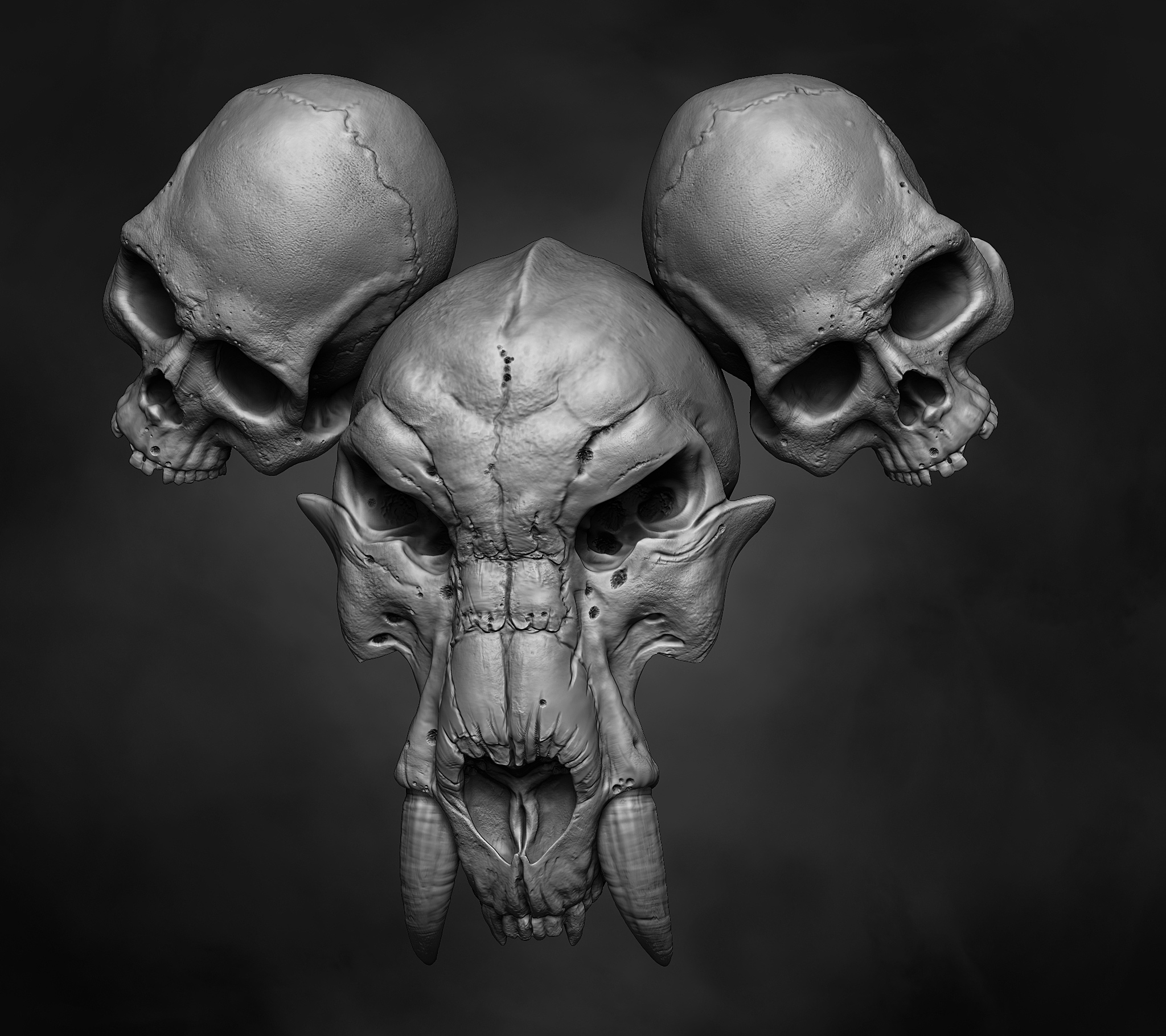 skull_01.jpg