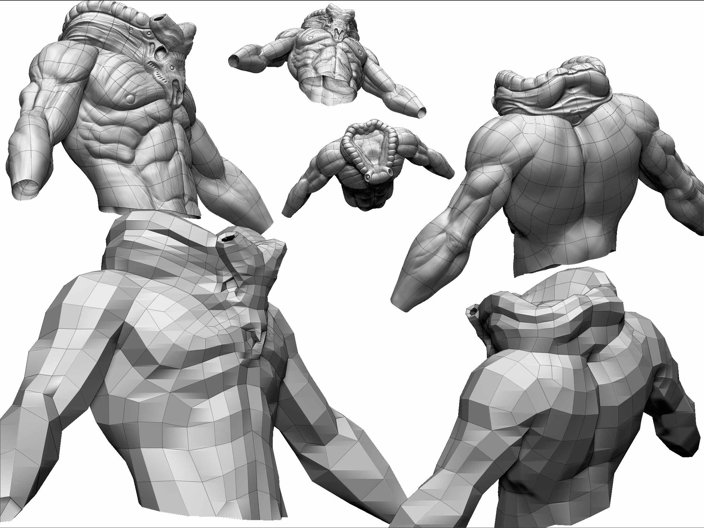 bustS.jpg