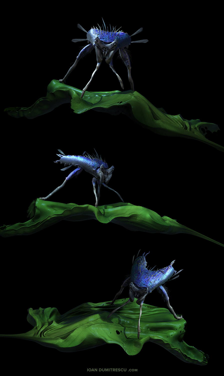 insect5_sb.JPG