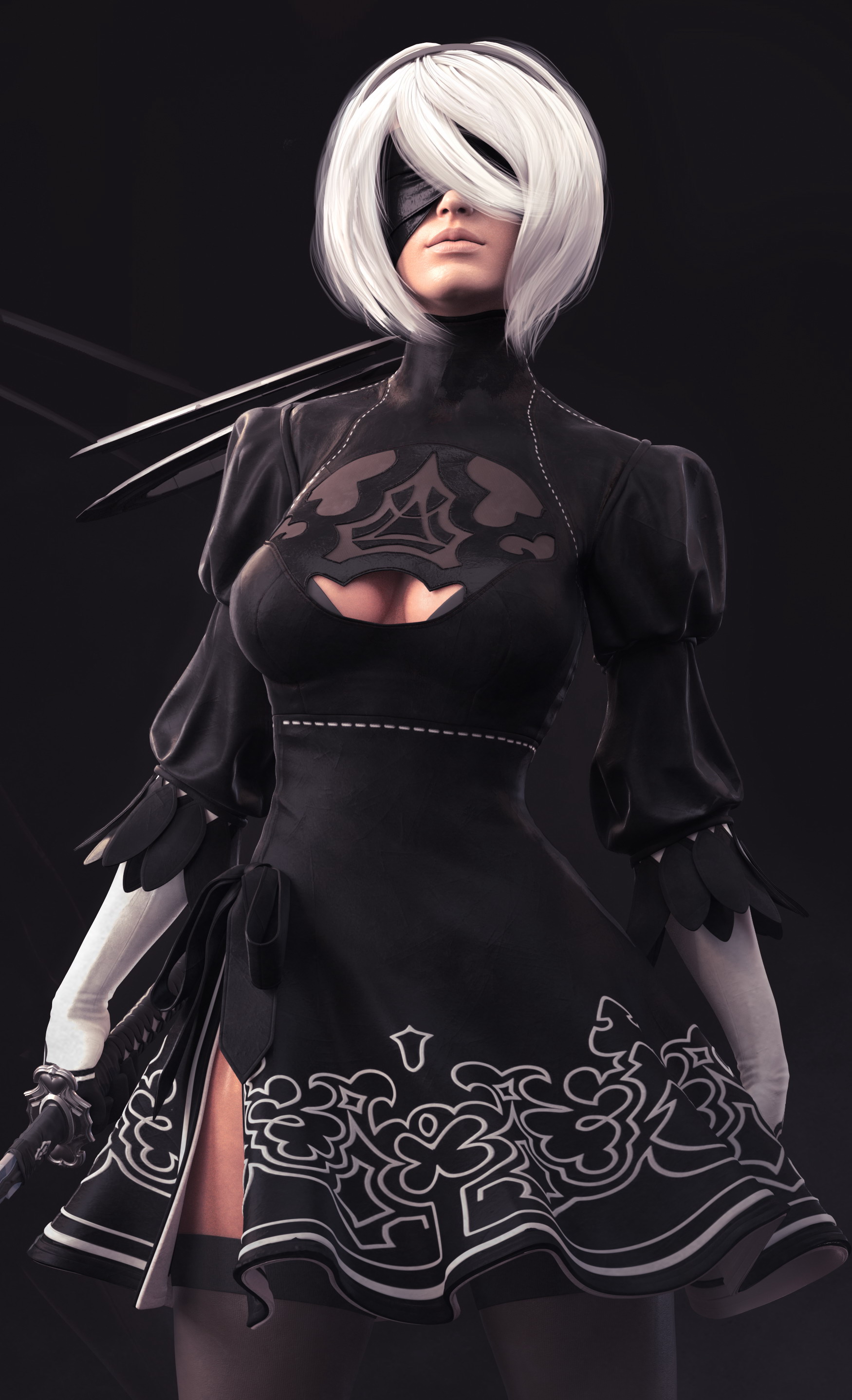 Nier2b_close_sm2.jpg