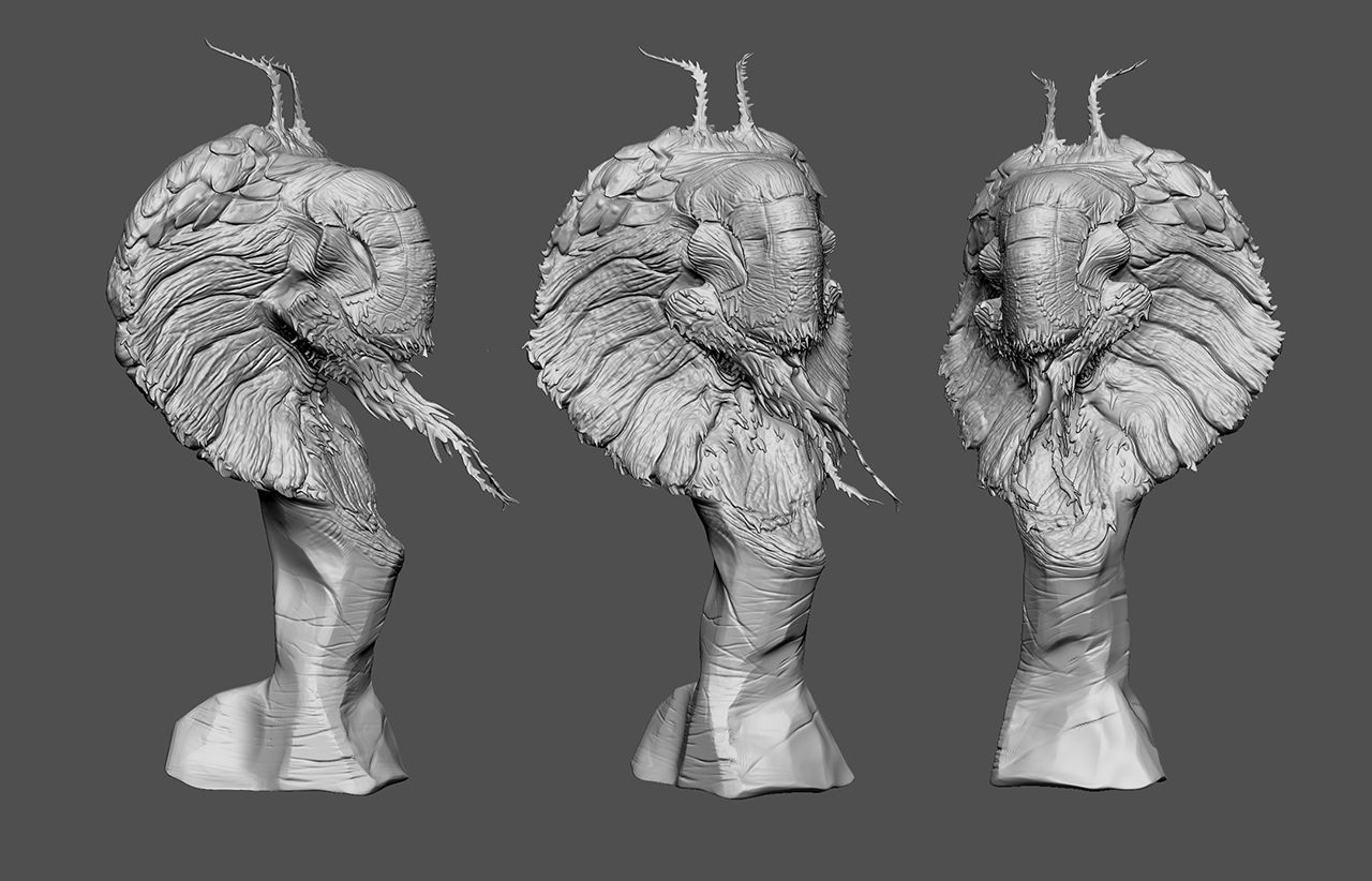 Lizard_Study_Zbrush_01.jpg