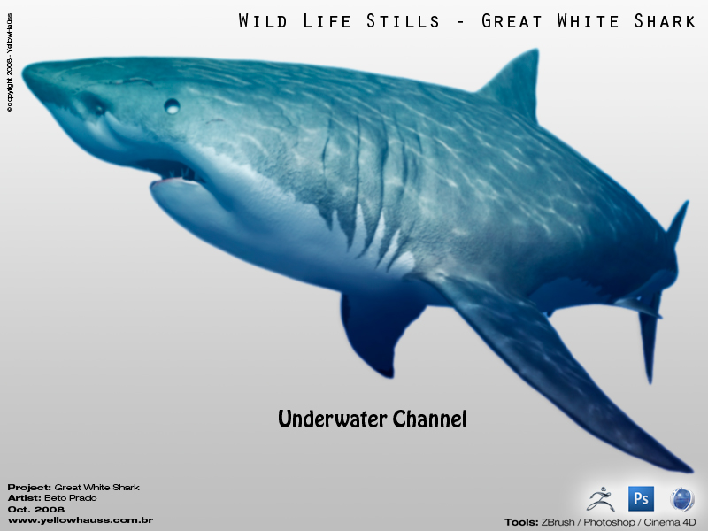 udw_.jpg